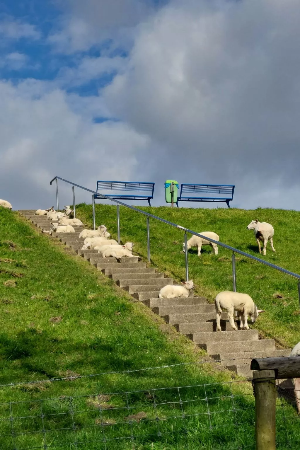 Wattwurm in Fedderwardersiel-Outside