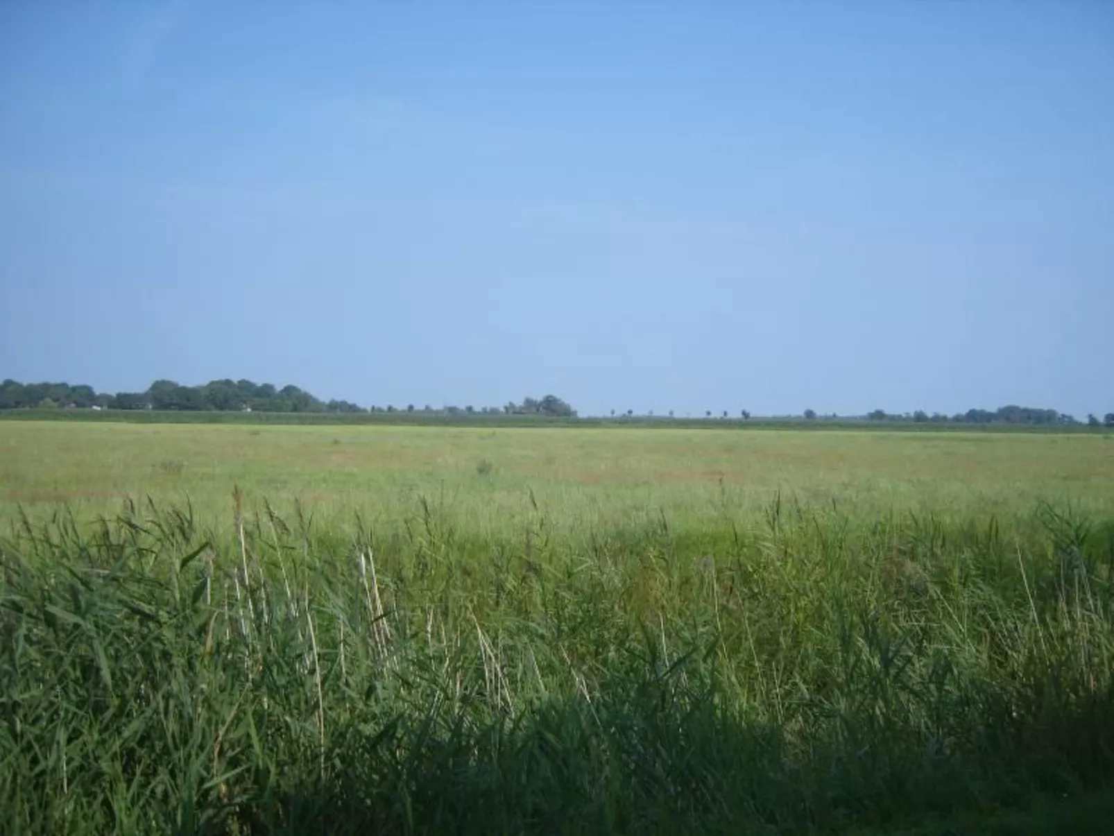 In Eckwarden mit Terrasse-Image-tags.info