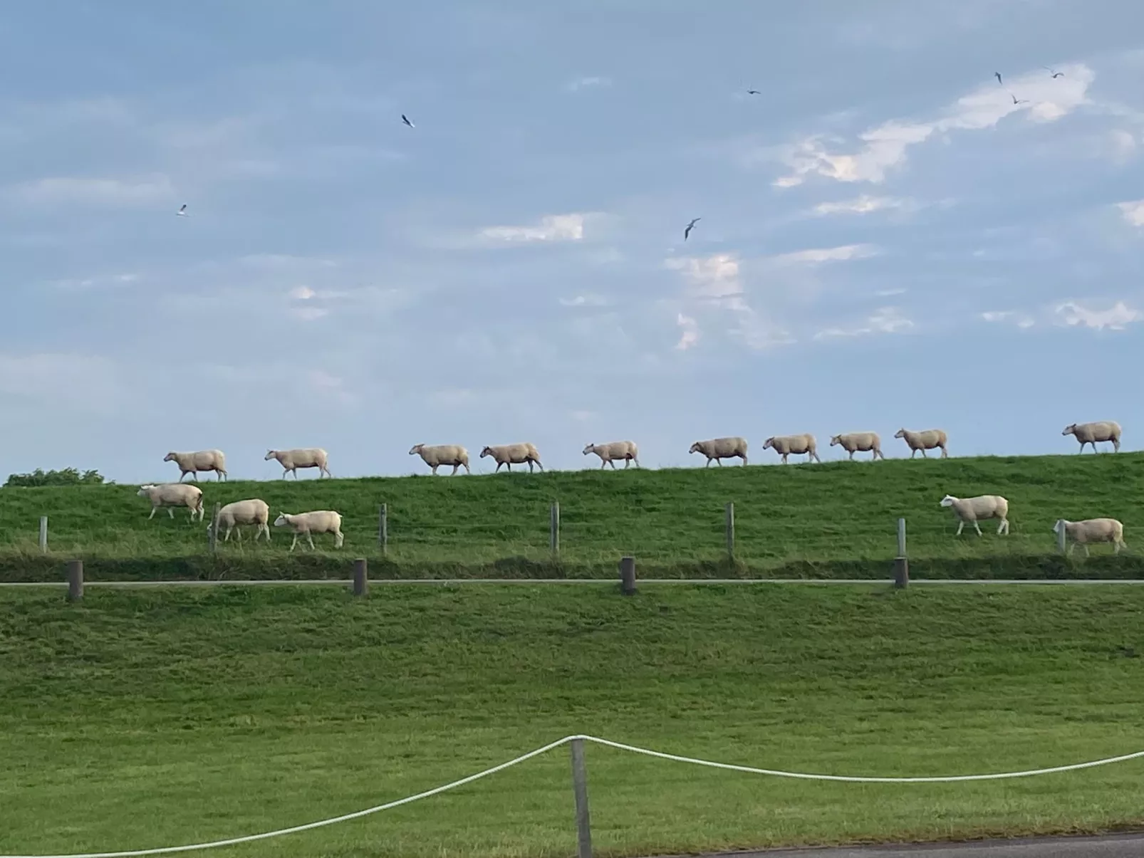 Huus in Hoddersdiek 27 A-Drinnen