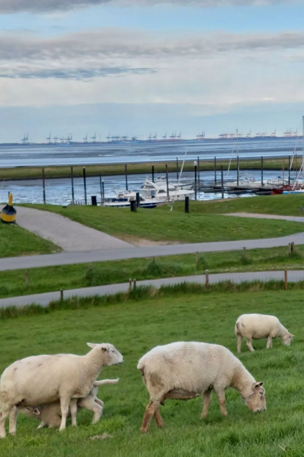 Kajüte in Fedderwardersiel-Outside