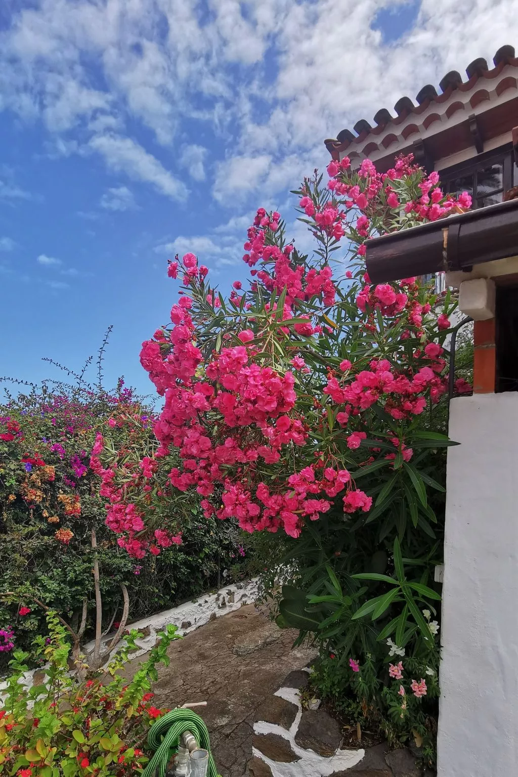 Renovierte Finca Paradies mit privatem Pool-Dehors