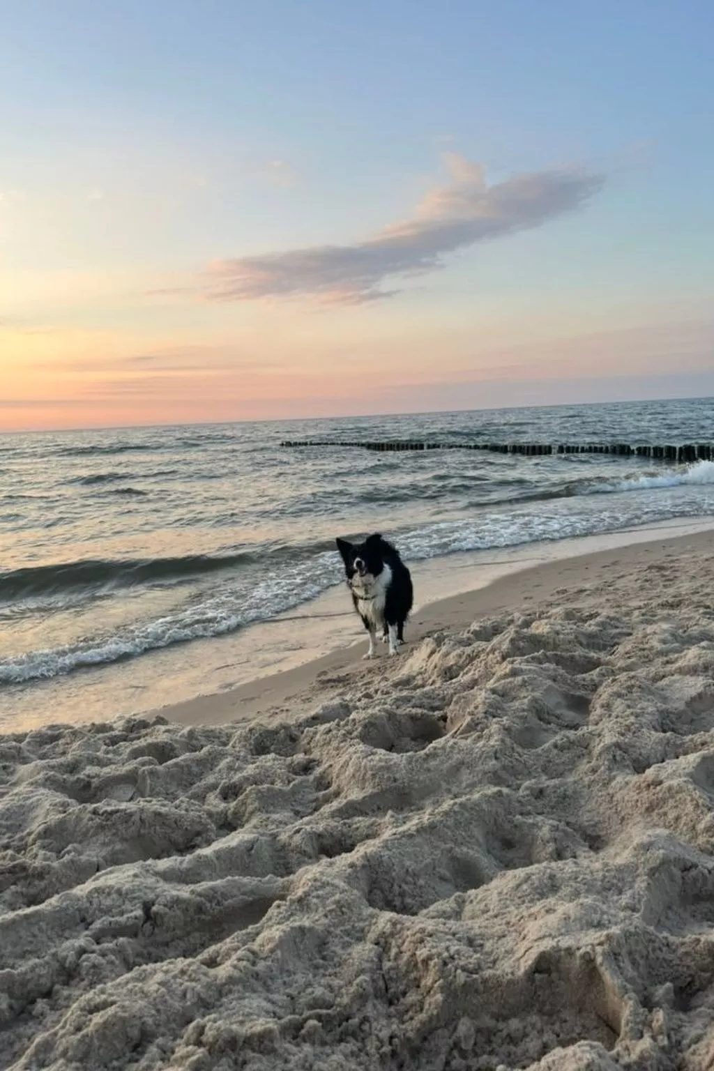 Komfortable Wohnung mit Garten, in der Nähe des Meeres-Inside