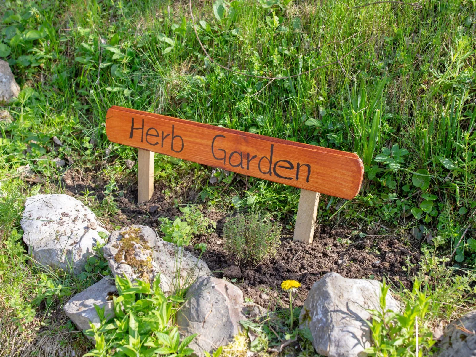 "Schmetterlingsplatz"-Image-tags.info