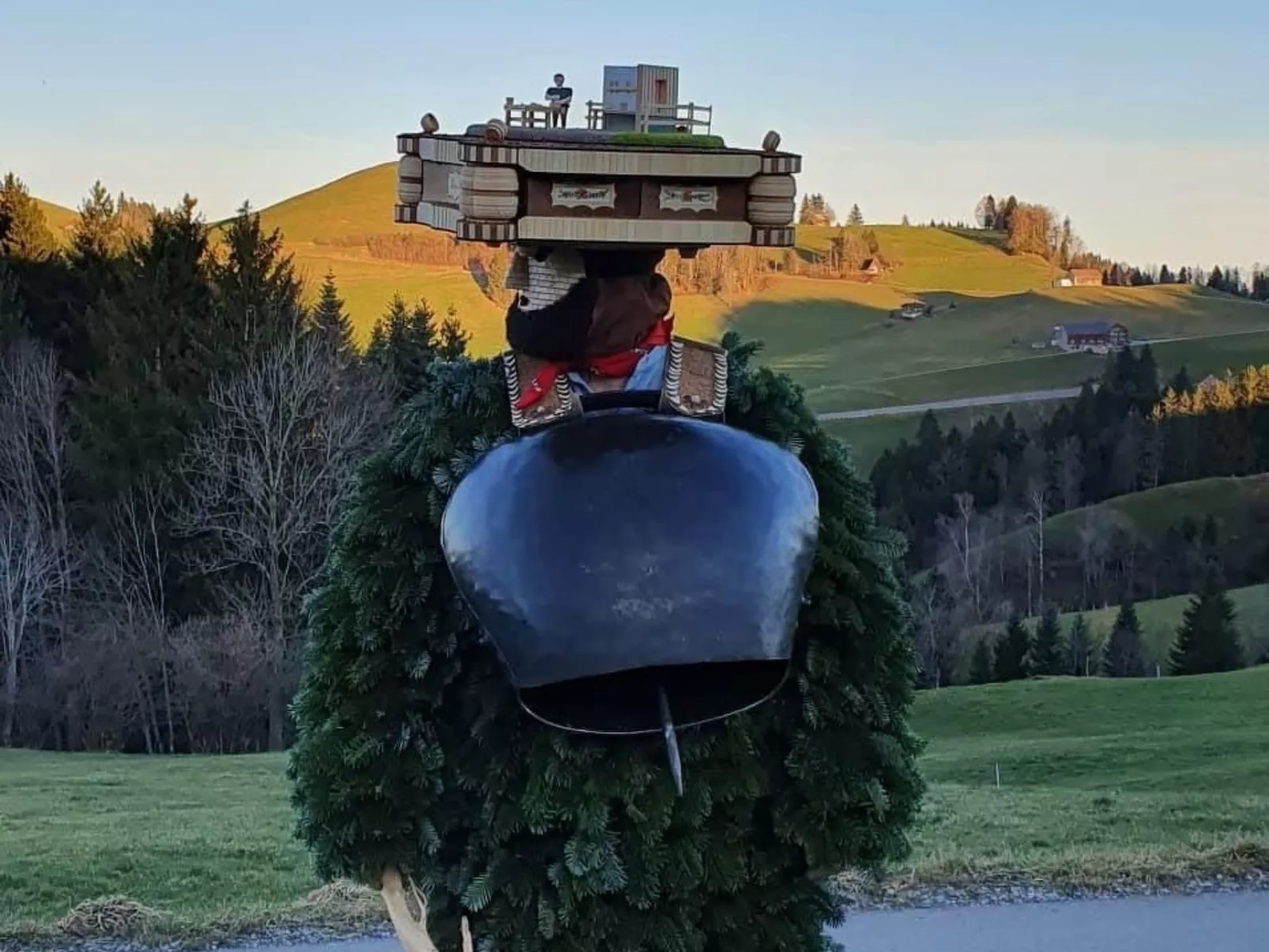 Alpakahof Ferien-Dehors