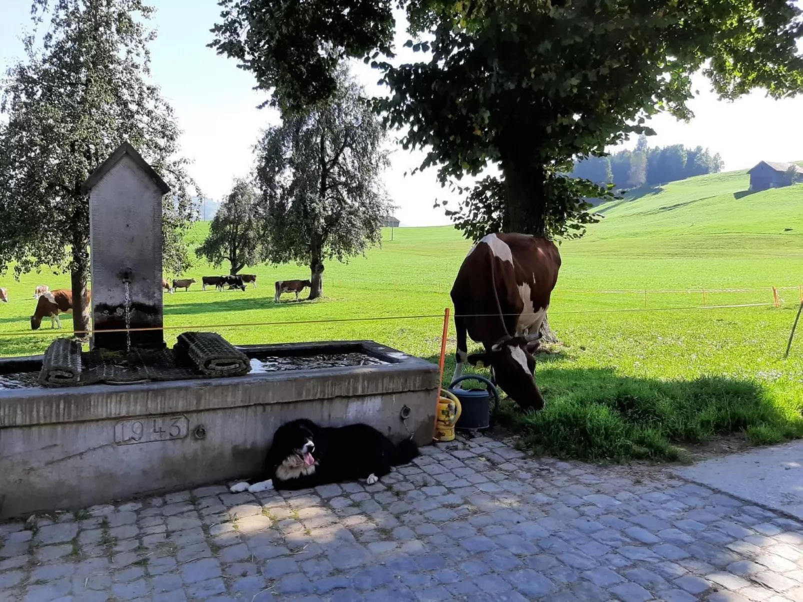 Auf dem Bauernhof-Dehors