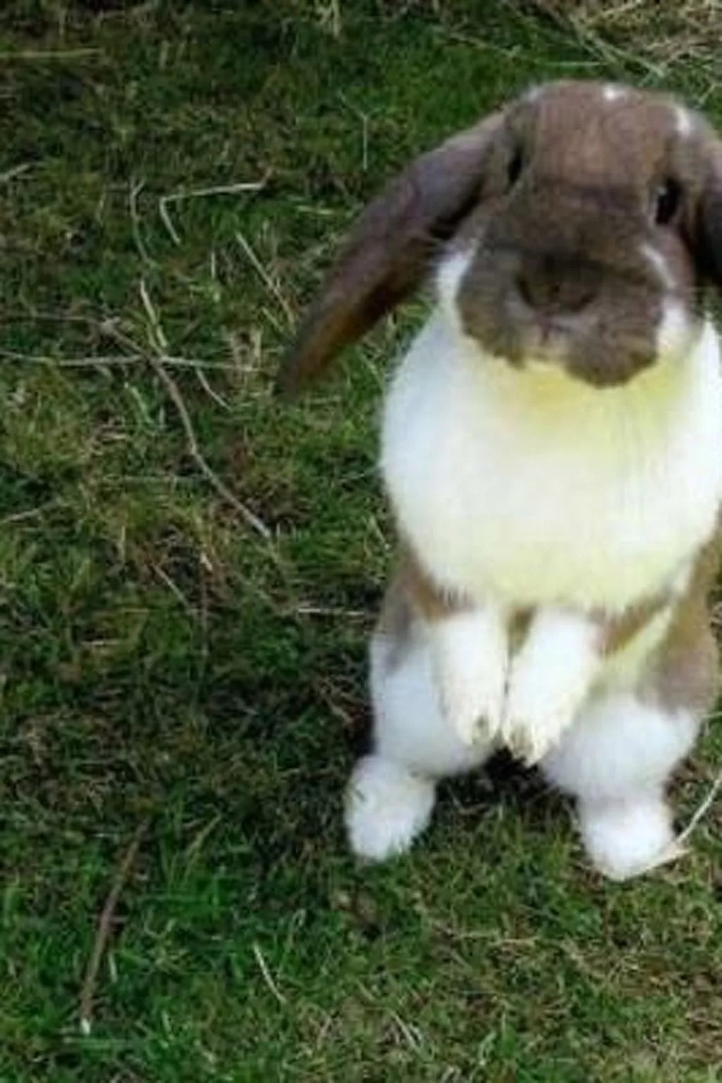 Farbhaus Bleiche-Image-tags.info