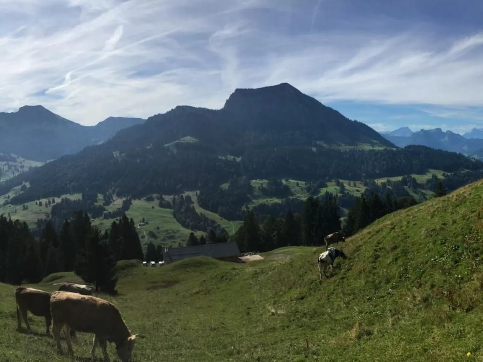 Alp Scherlet-Image-tags.info