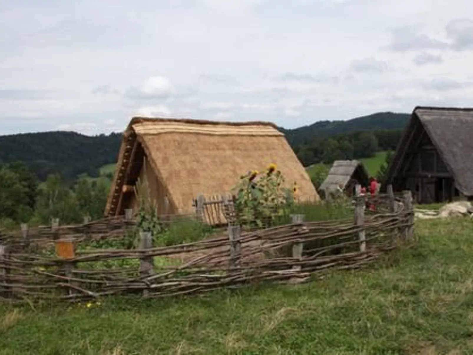 Tamara in Eppenschlag-Draußen