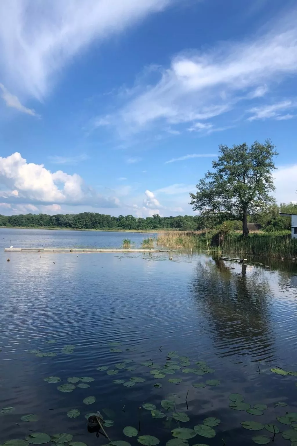 In Dahmen Terrasse und Grill-Draußen