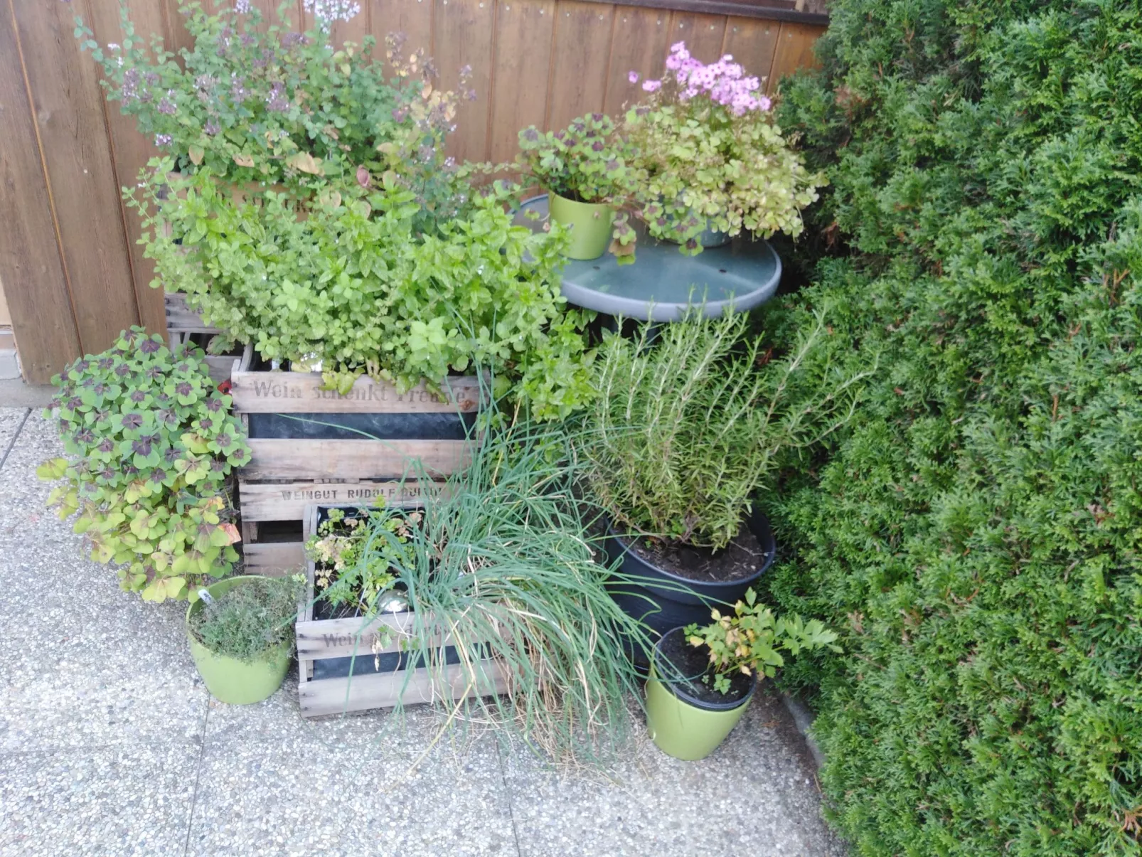 Urlaub in der Natur!-Draußen