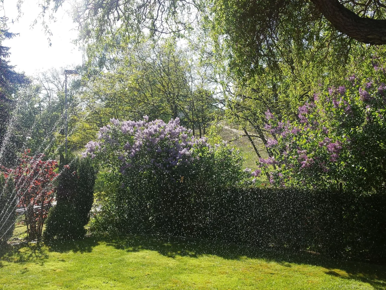 Mit Garten, Grill und Terrasse-Draußen