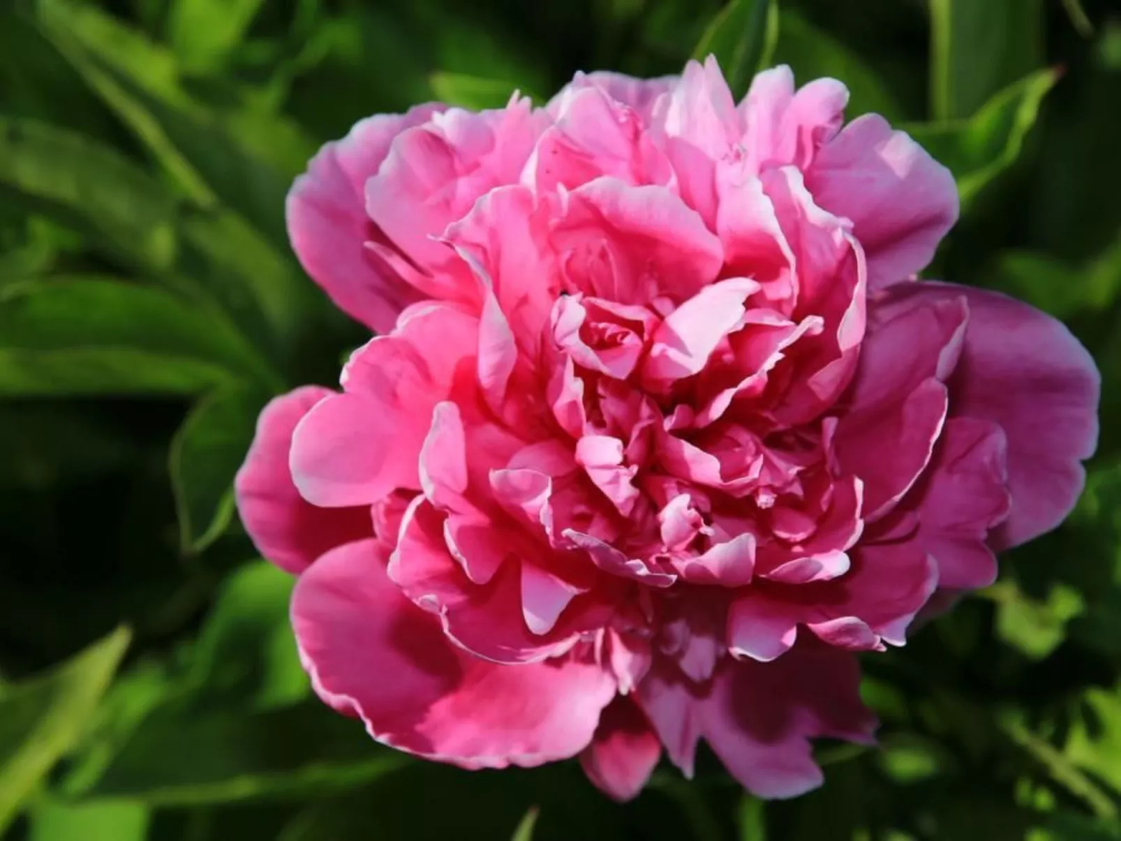 In Storkow mit Schönem Garten-Inside