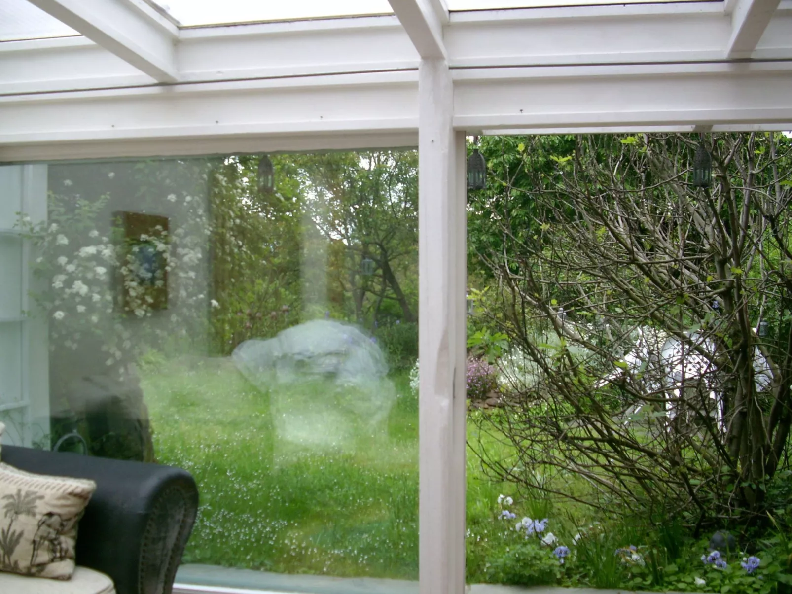 Urlaub am Feigenbaum in Nußloch-Dehors