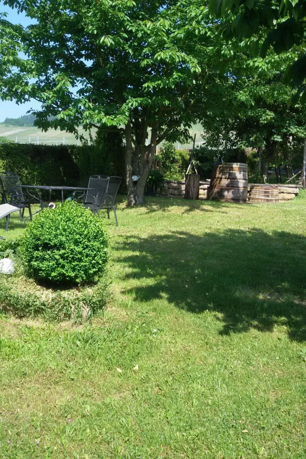 Wohnung mit Blick auf die Weinberge-Draußen