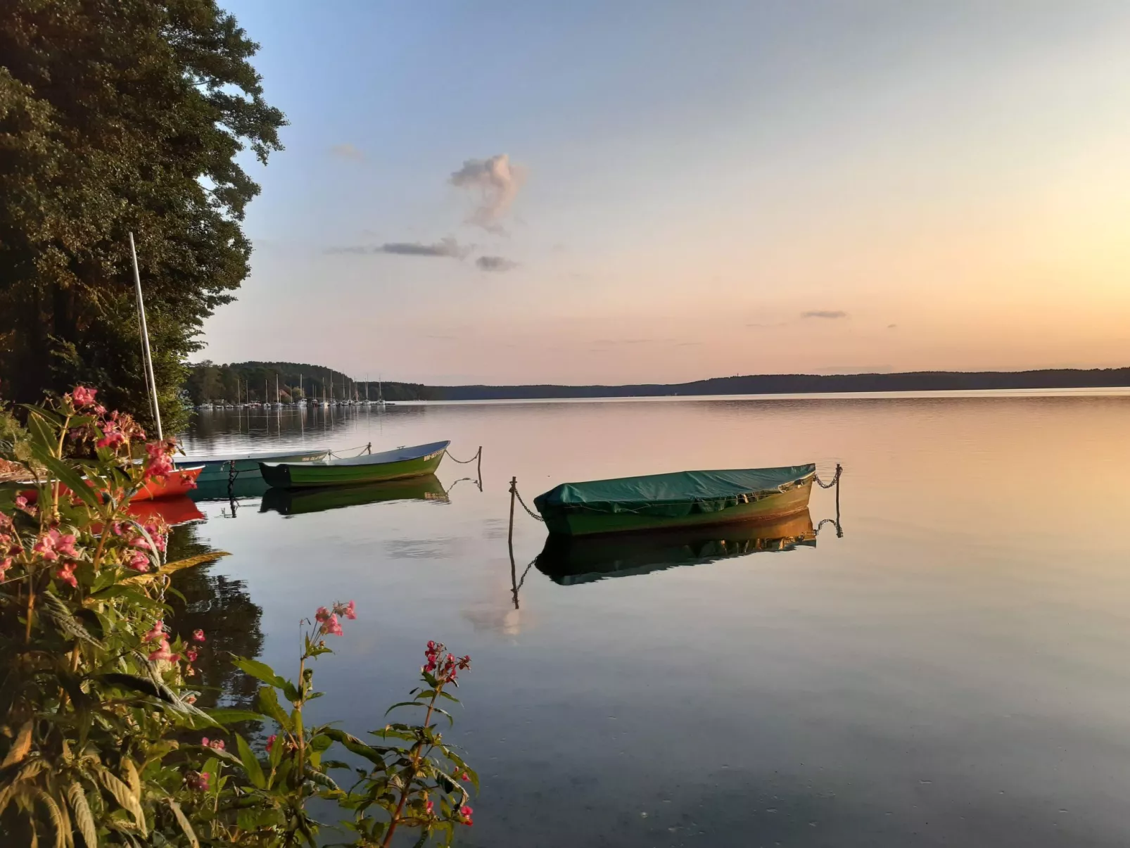 Fachwerkhaus "Paula" mit Blick auf das Wasser-Image-tags.info