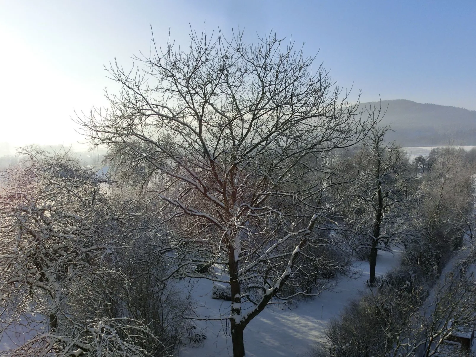  Lauf-Image-tags.info