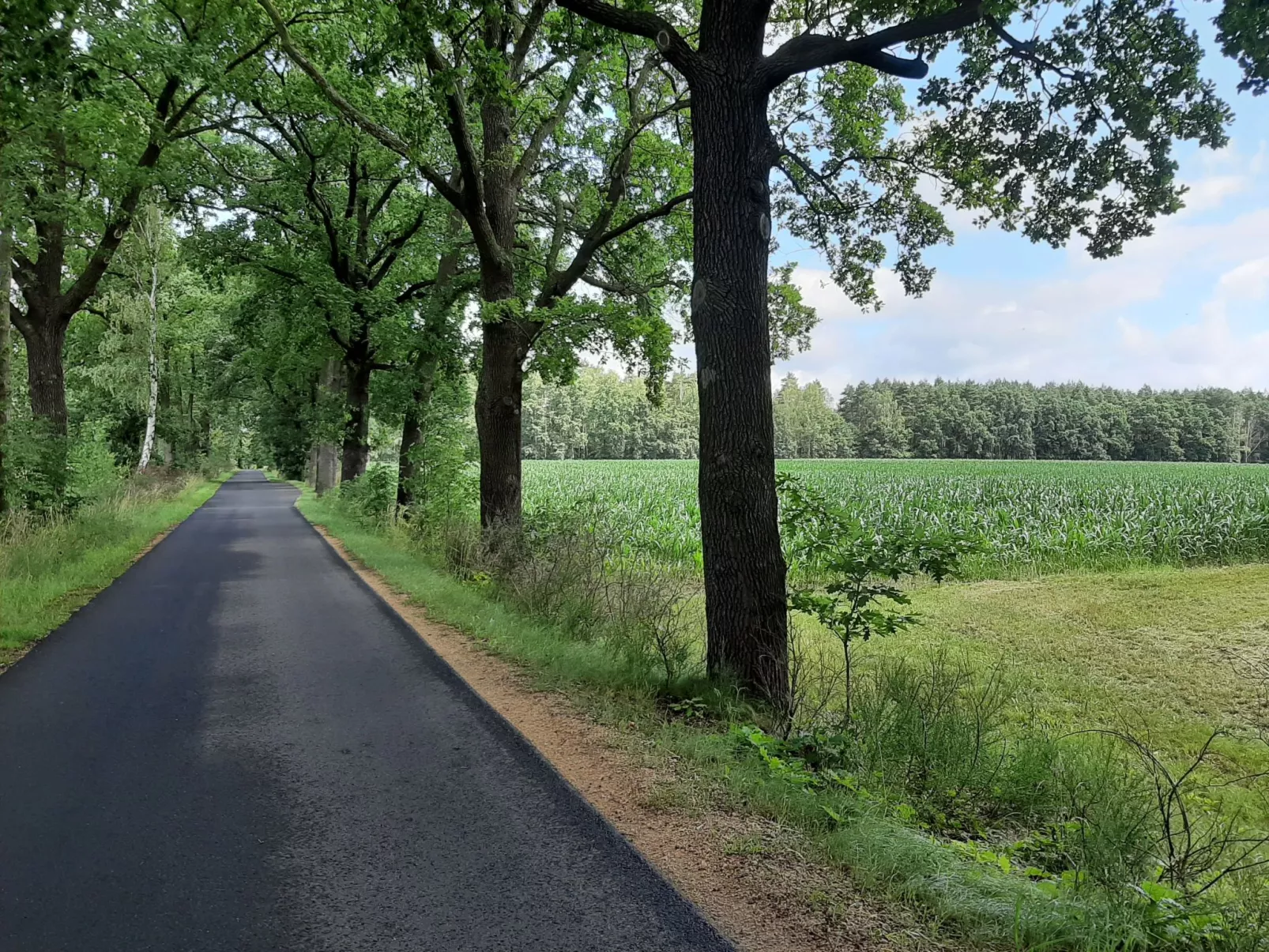 Biele-Image-tags.info