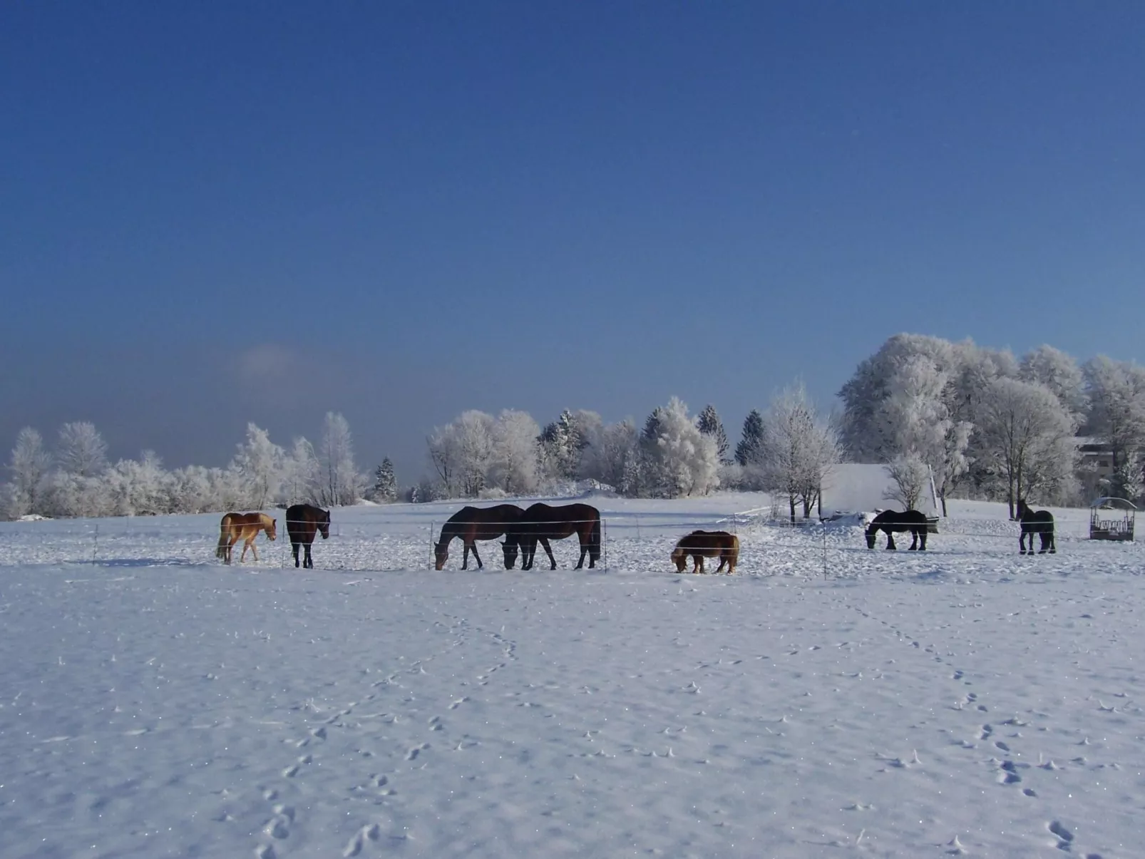 Ferienhaus-Image-tags.info