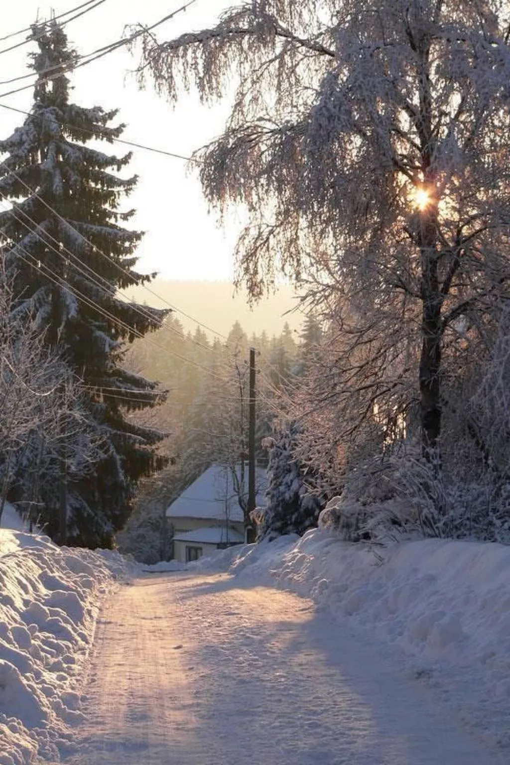 Wiesengrund-Draußen