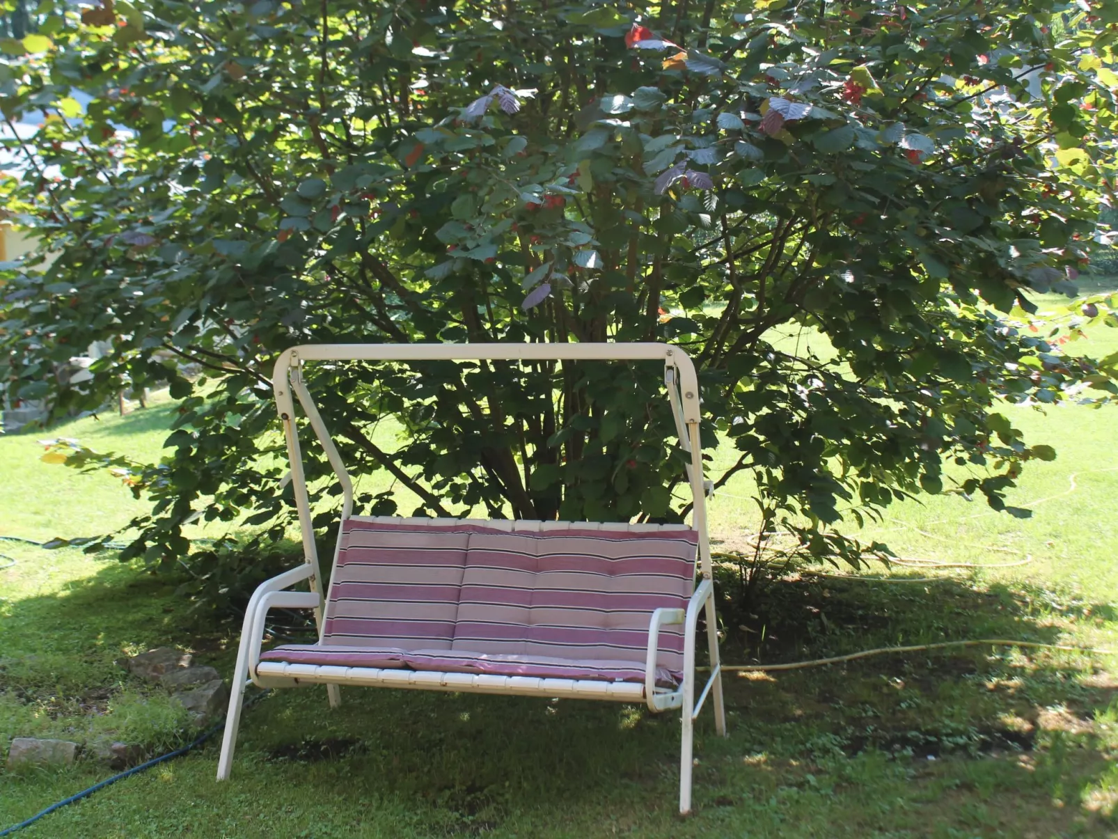 Bungalow Waldidyll-Inside