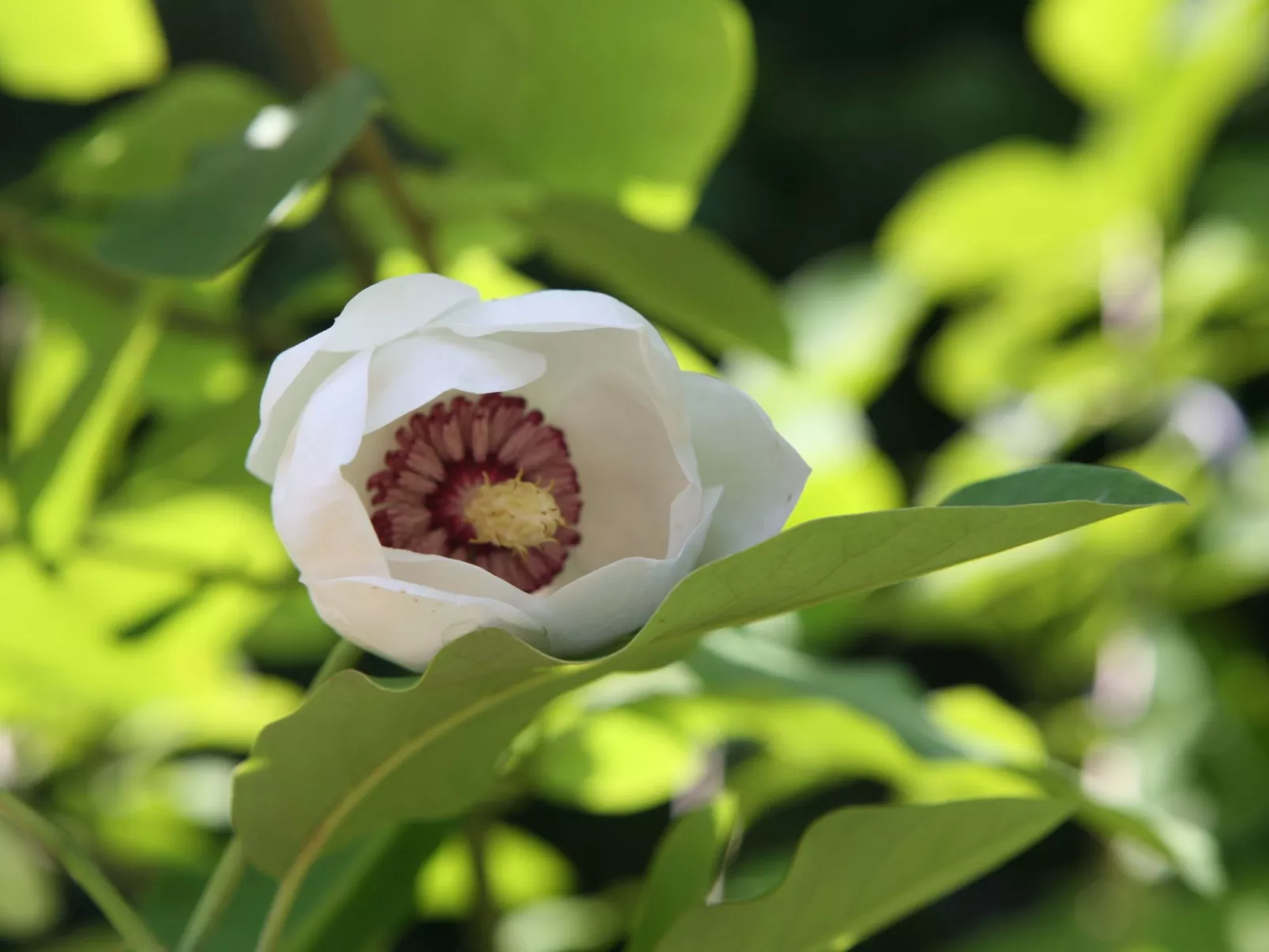 Himmelreichmühle in Sausal-Image-tags.info