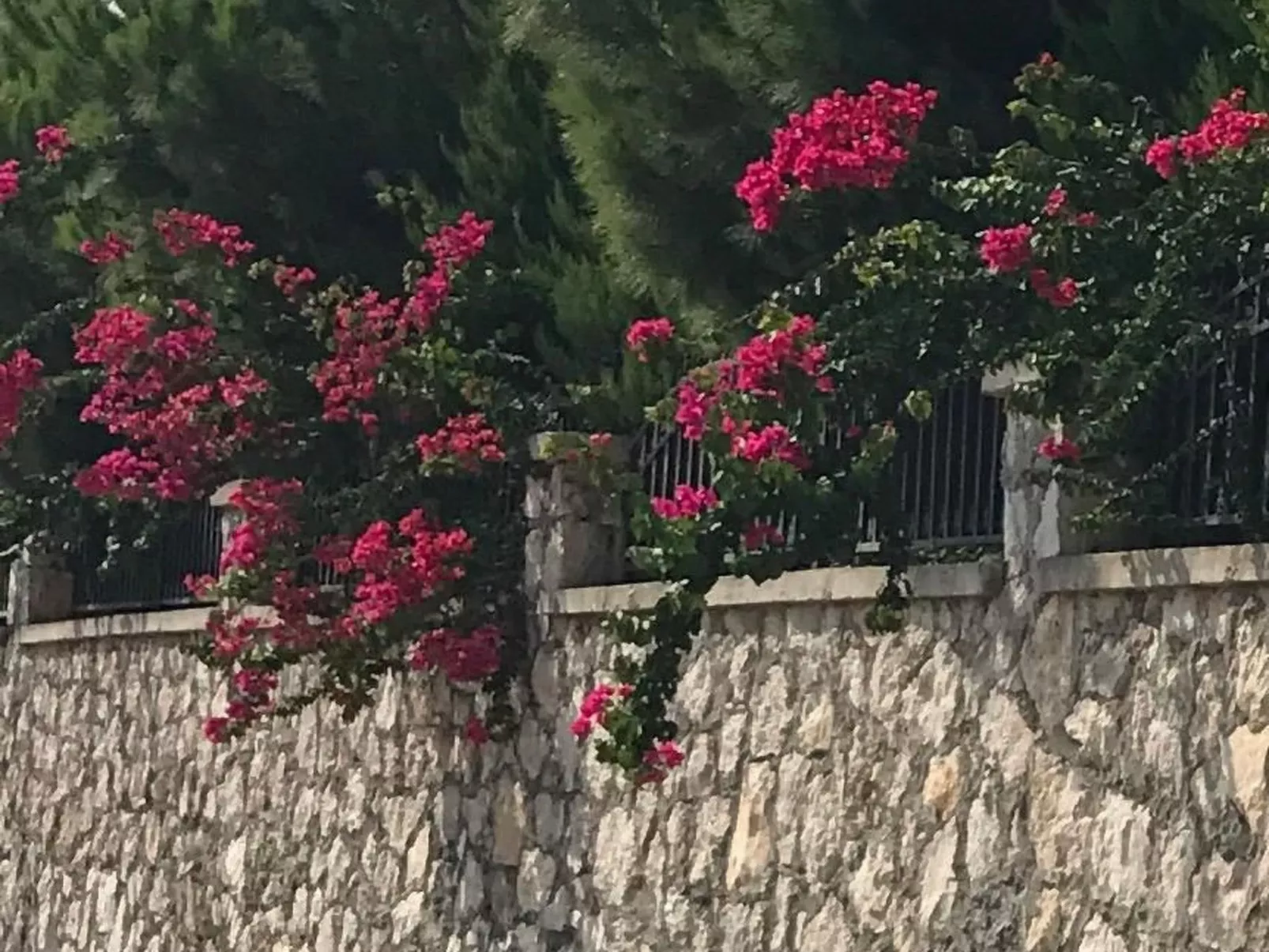 Mit Terrasse-Image-tags.info