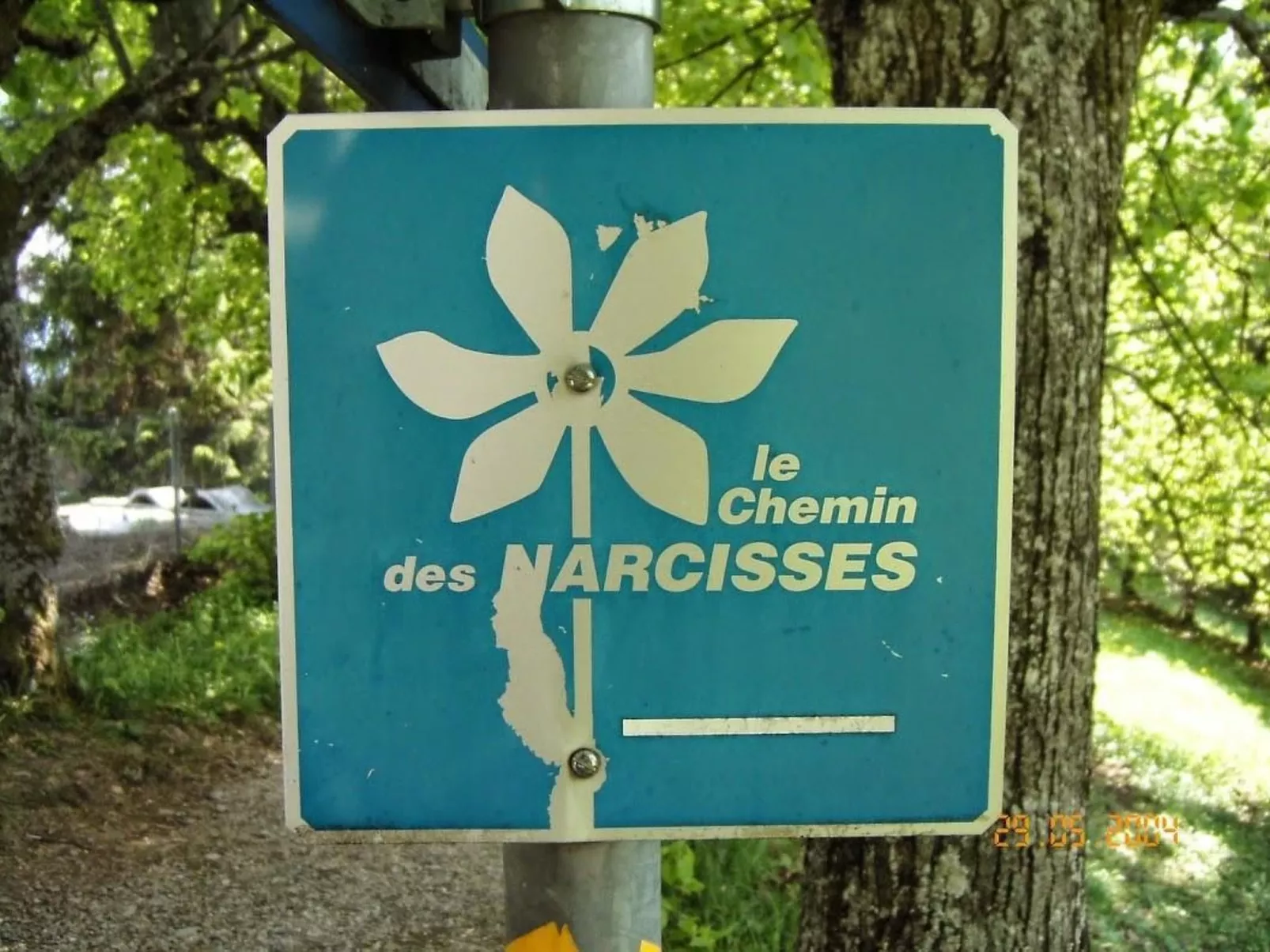 Les Narcisses,Blonay-Dehors