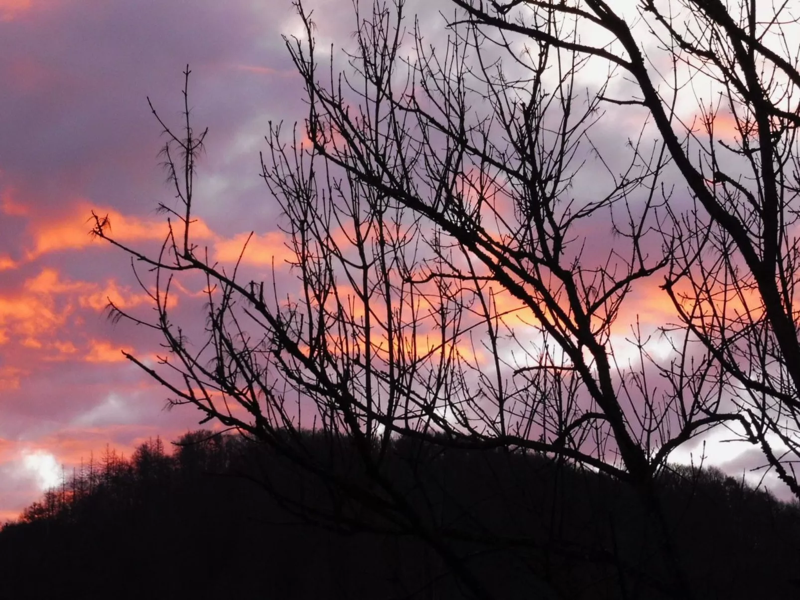 Chalet Wiedfluh in Waldbreitbach-Drinnen