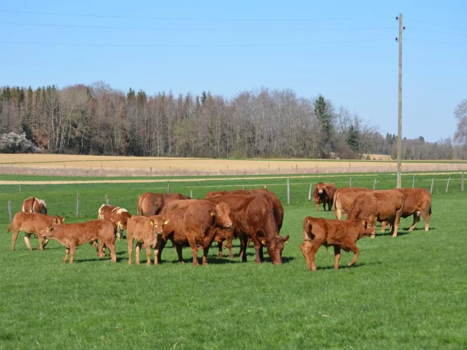 Wohnung "Rustique"-Draußen