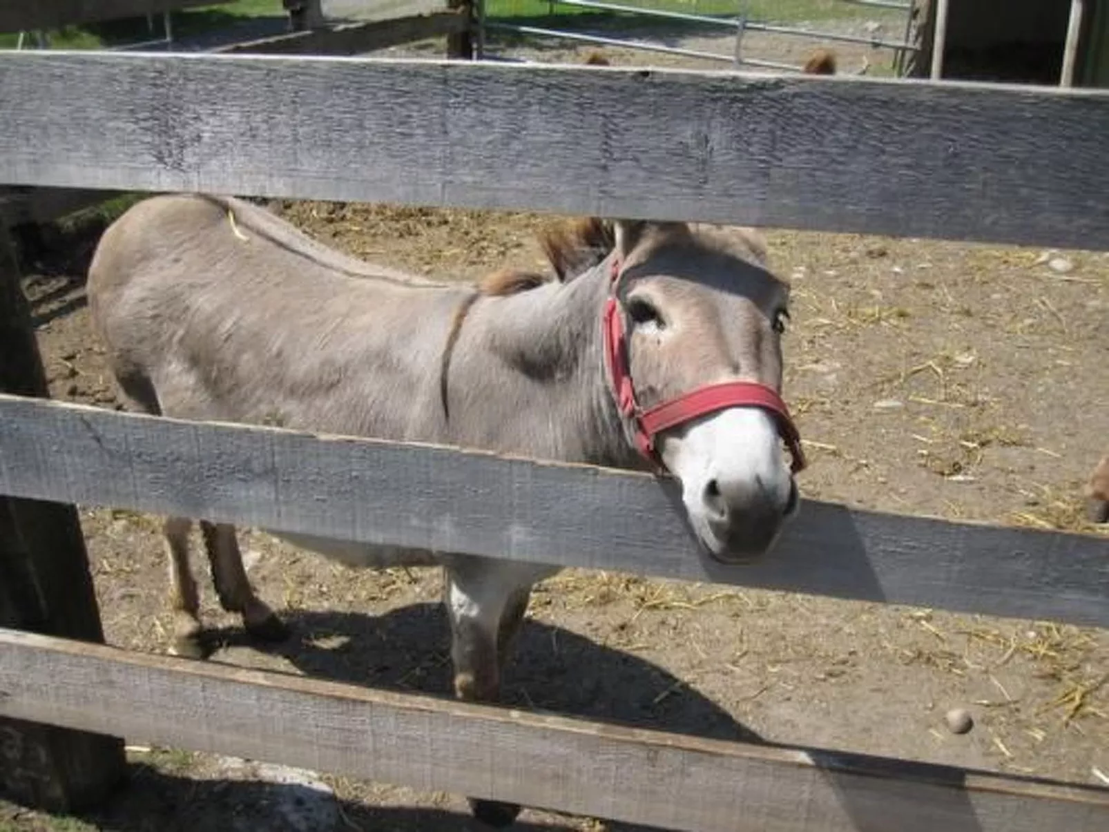 Bauernhaus Bleiche-Drinnen