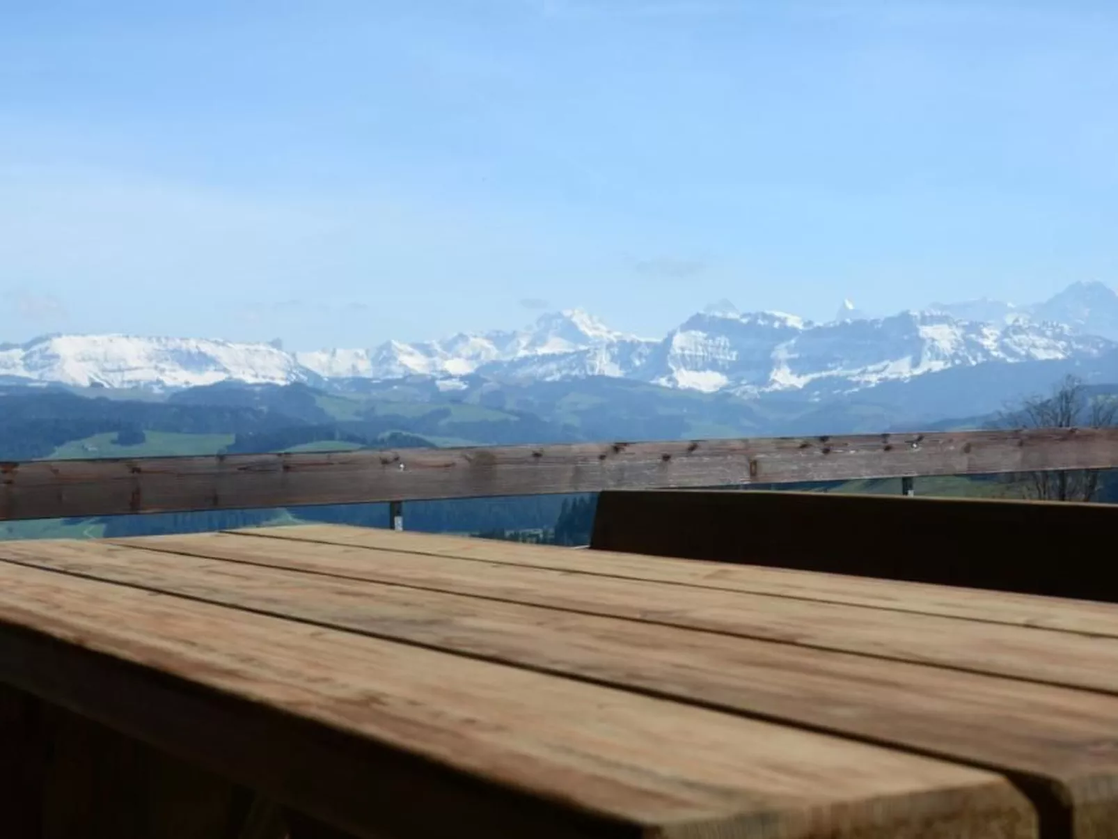 Moosegg-Image-tags.info