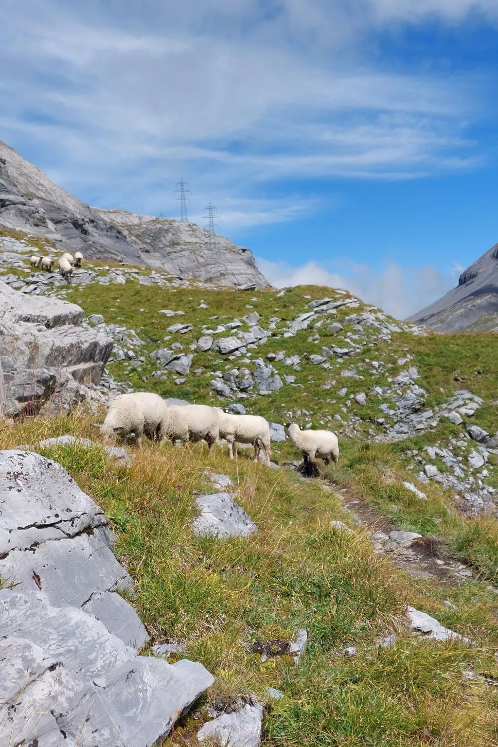 Renoviertes Studio mit mäjestätischer Aussicht-Dehors