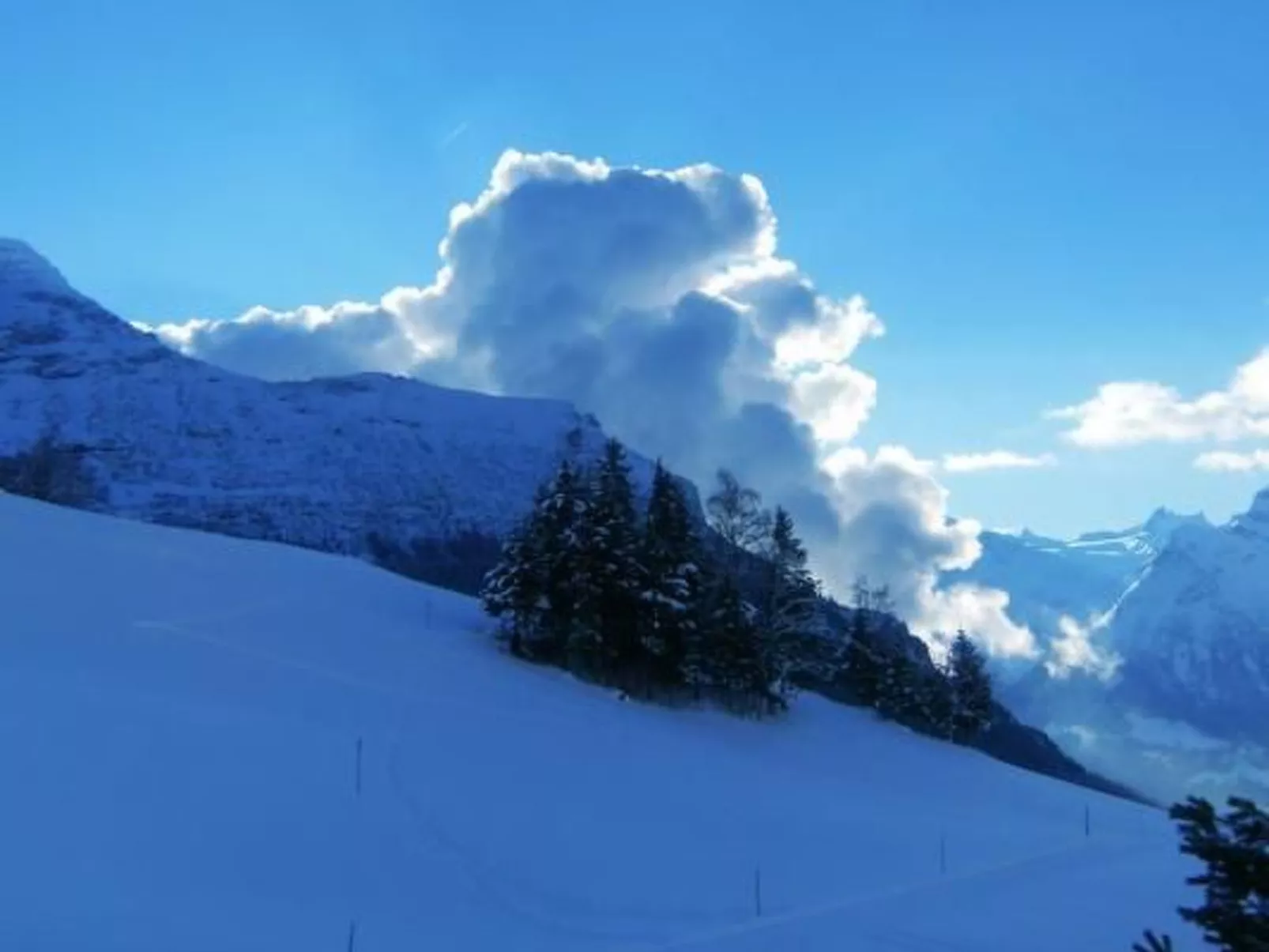 Ferien im grünen rechts-Dehors