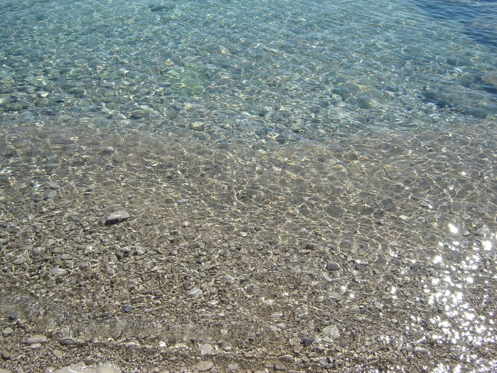 Gemütliches Appartment direkt am Strand-Draußen