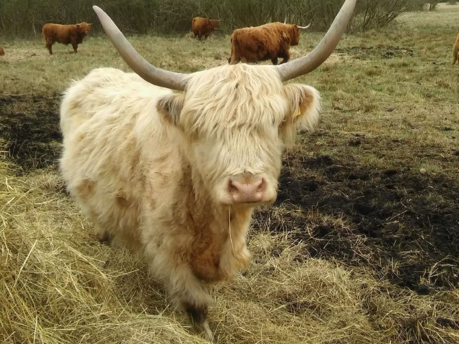 Juwel an der Lagune-Dedans