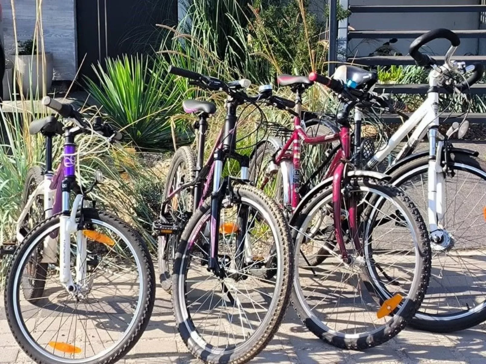 FeWo & Garten &Grill-Image-tags.info