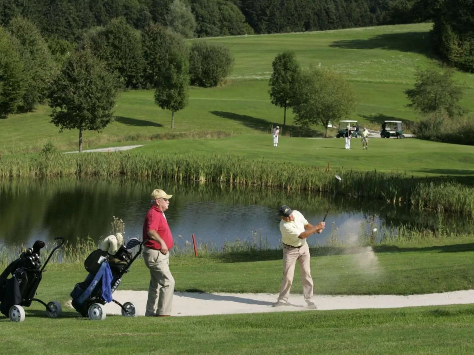 Herrliche Ferienwohnung mit Grill und Garten-Drinnen