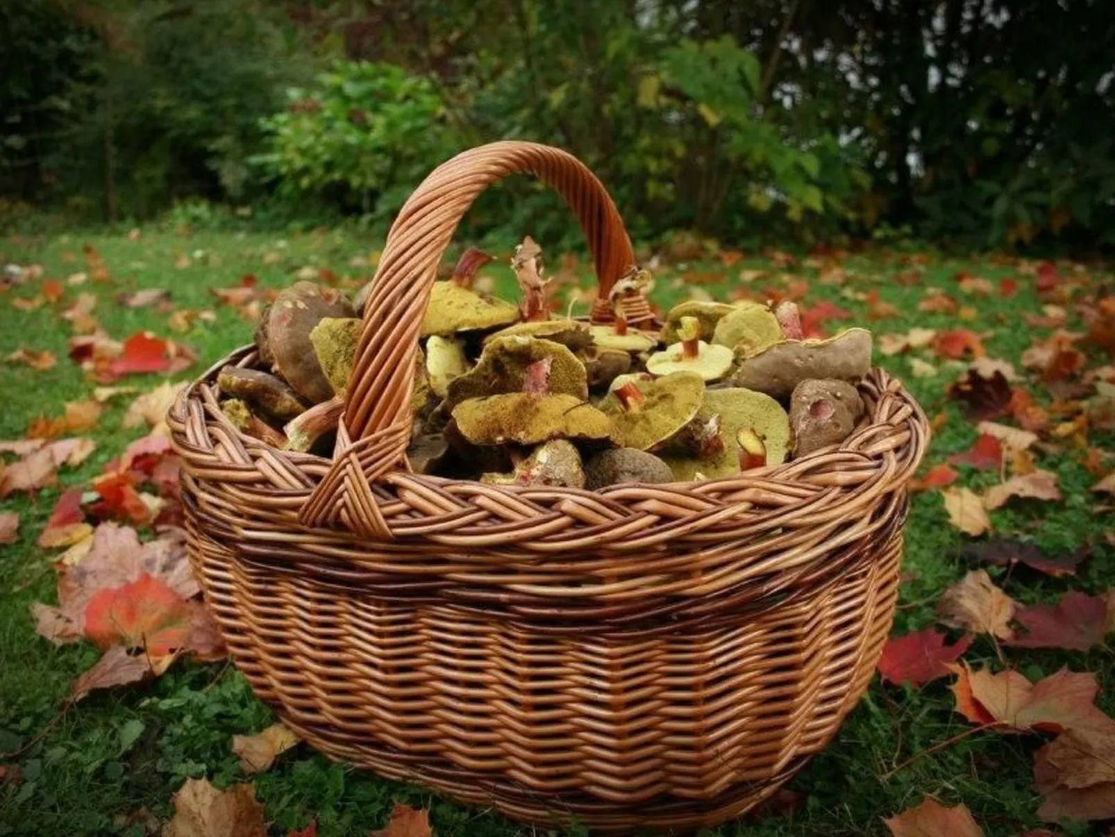 Fewo Altes Schulhaus-Dehors