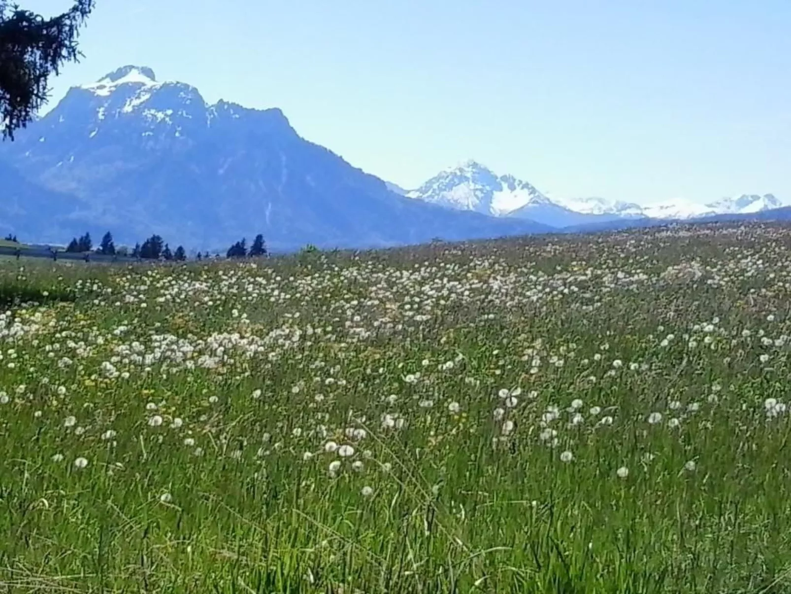 Chalet mit Blick auf das Wasser-Dehors