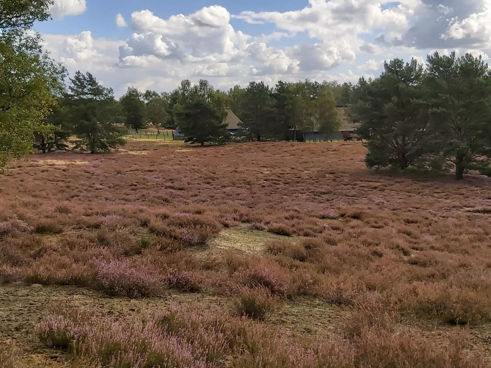 Wohnung in Jameln mit Garten, Grill und Terrasse-Dedans
