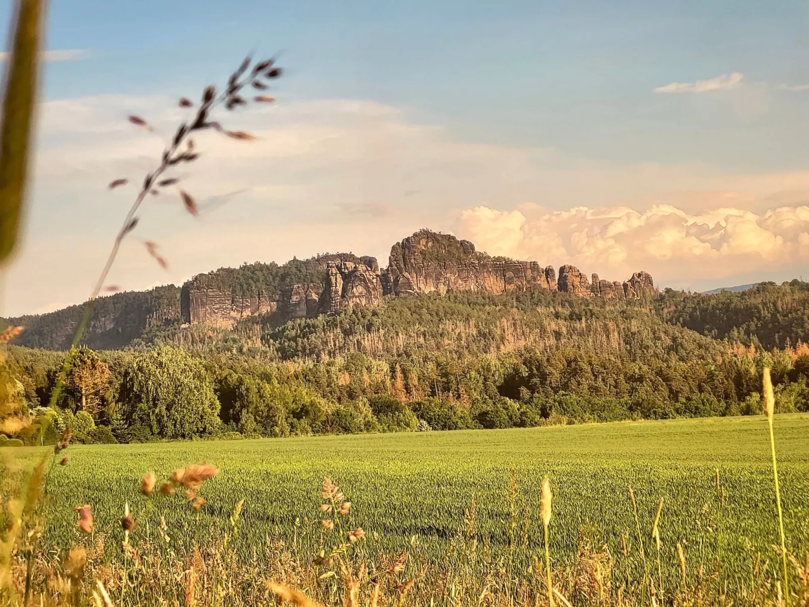 Apartment Wuff-Draußen