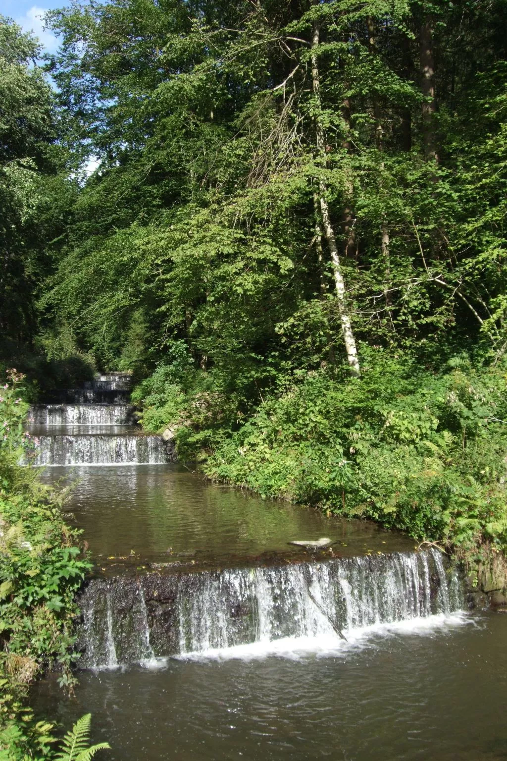 Örtl in Obernzell-Draußen