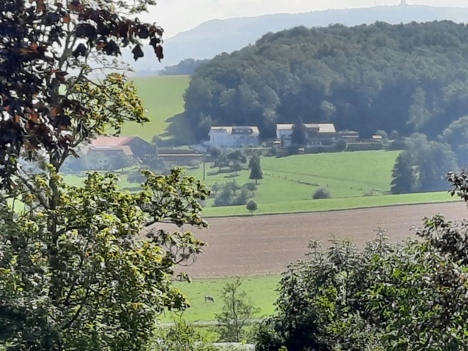 Renovierter Bungalow in Dörmbach-Dedans