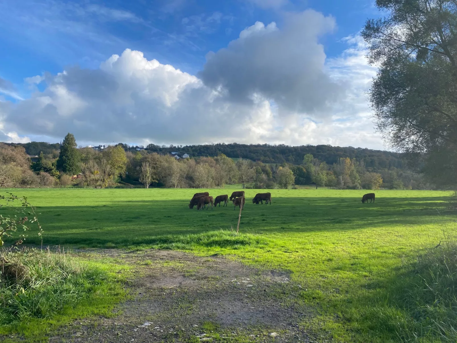 Appartement mit Balkon-Draußen