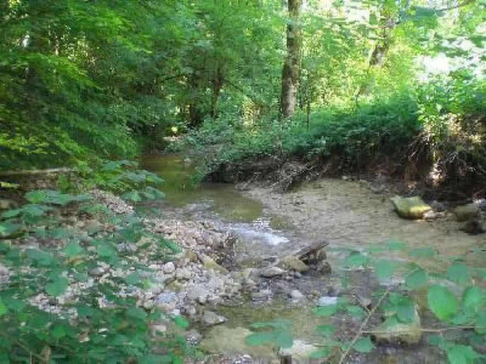 Das Blaue Haus in Hohenweiler-Dedans