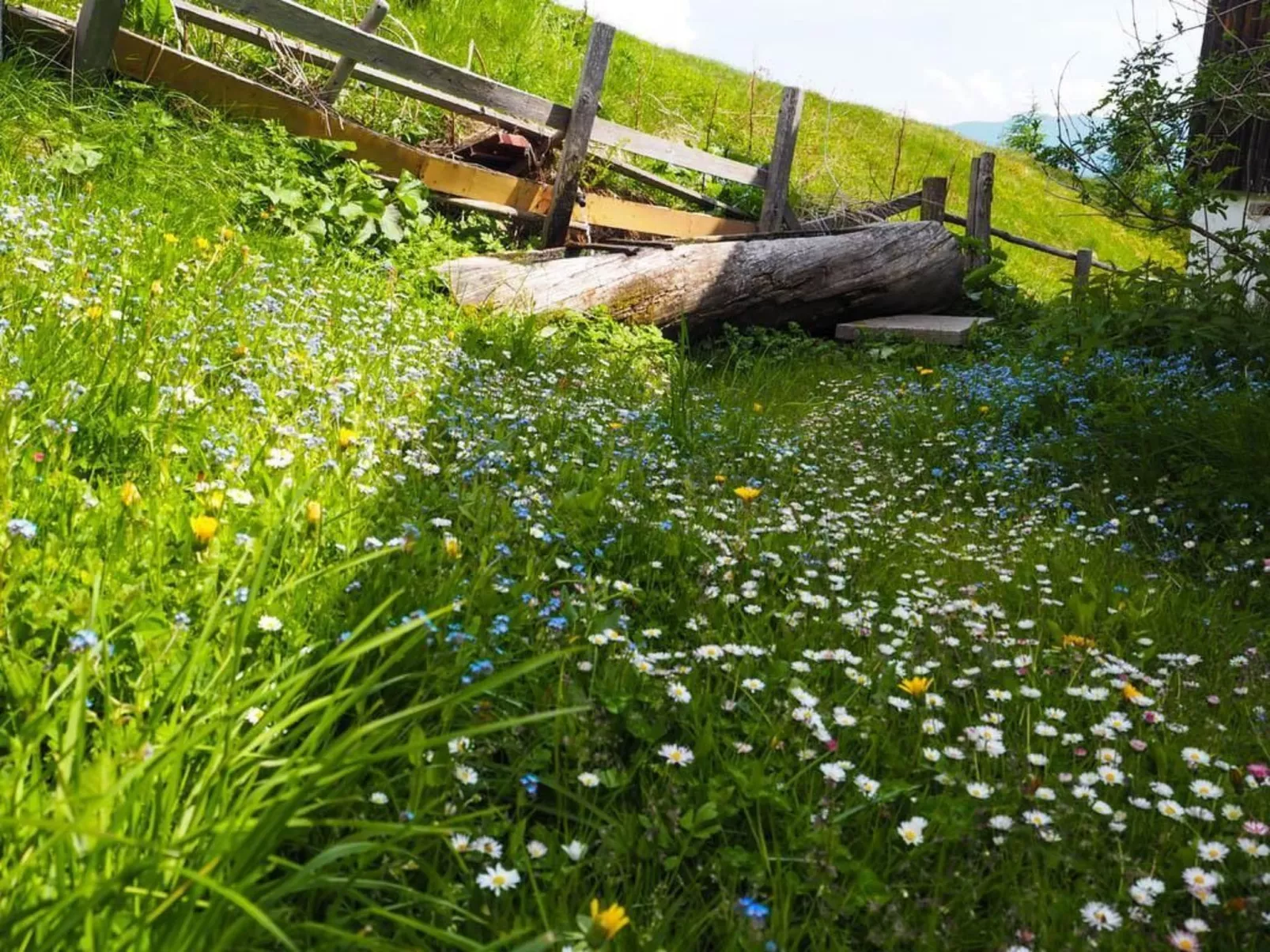 Almhütte Enzian-Dehors