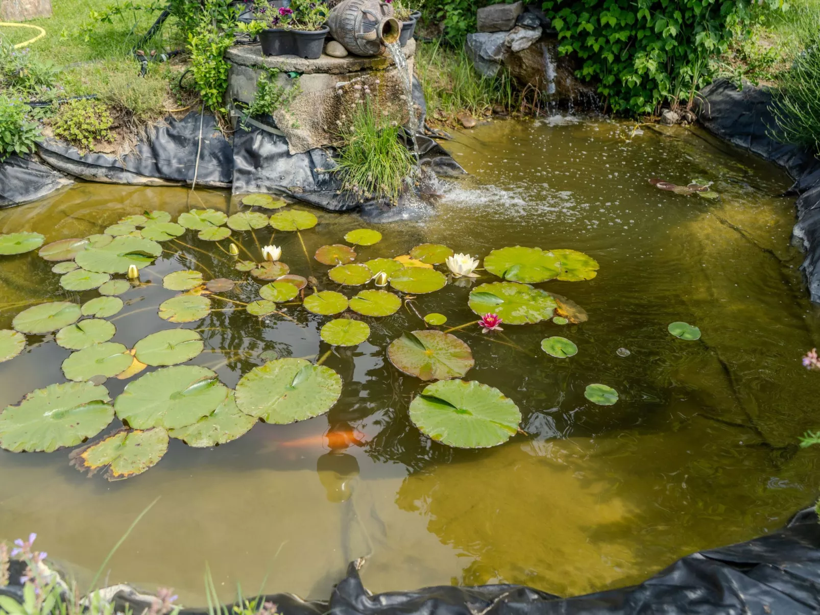 Casa Ananda Ferienhaus-Dedans