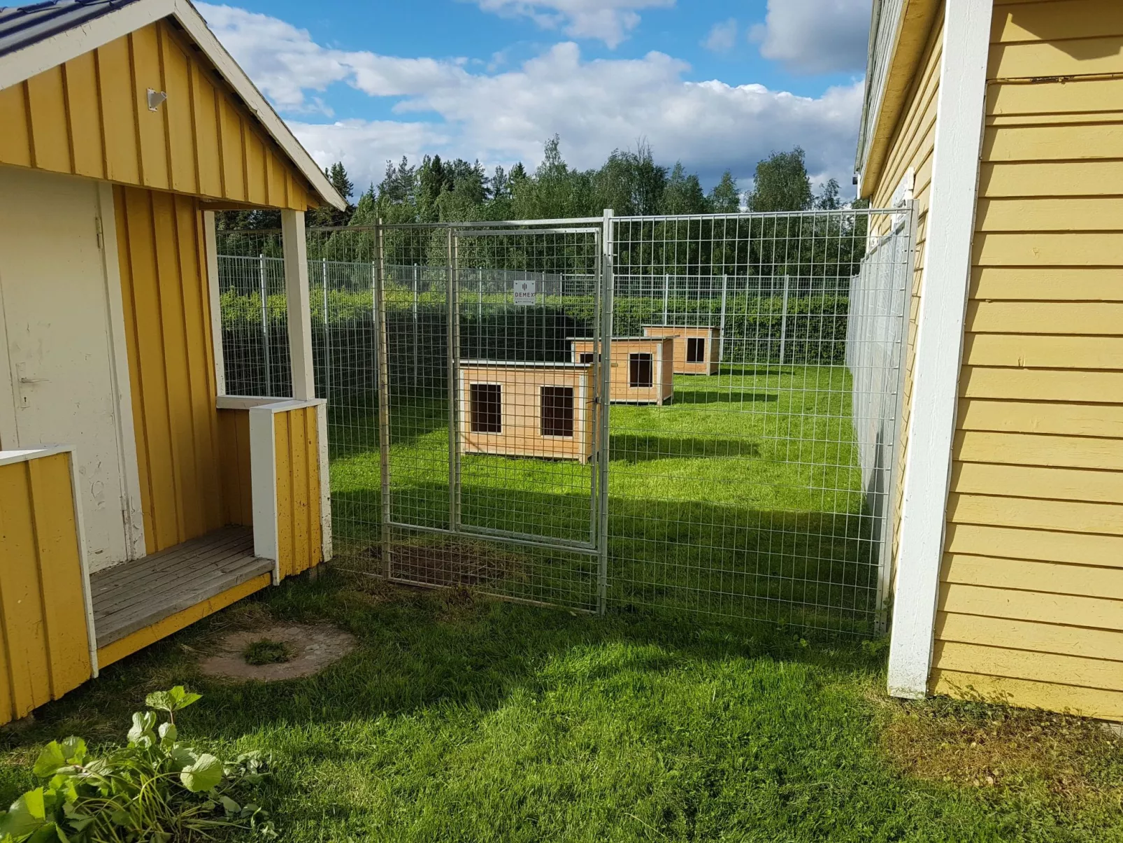 Gemütliches Ferienhaus in der Wildnis Lapplands-Draußen