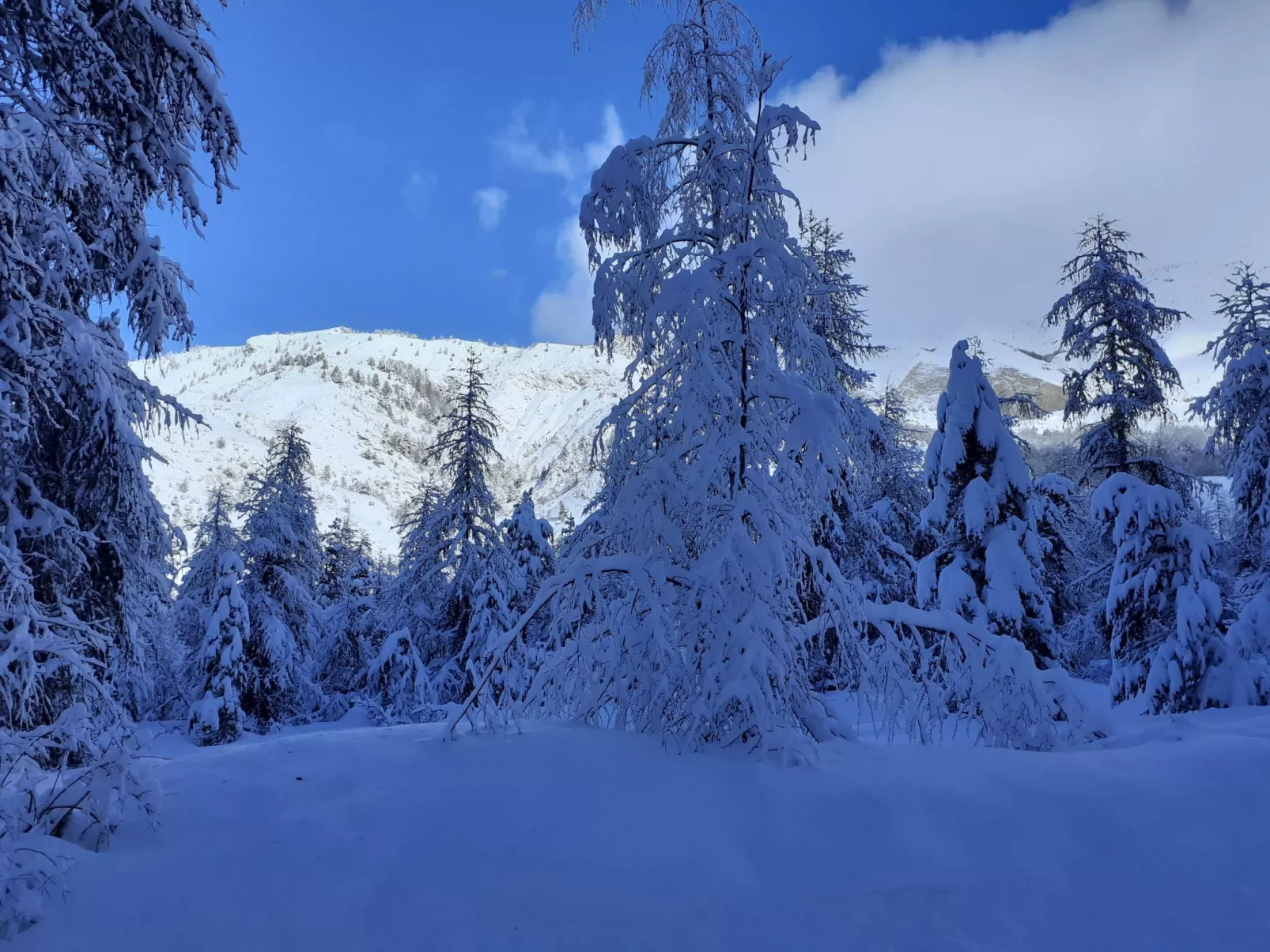 Urlaub in den Bergen-Dehors