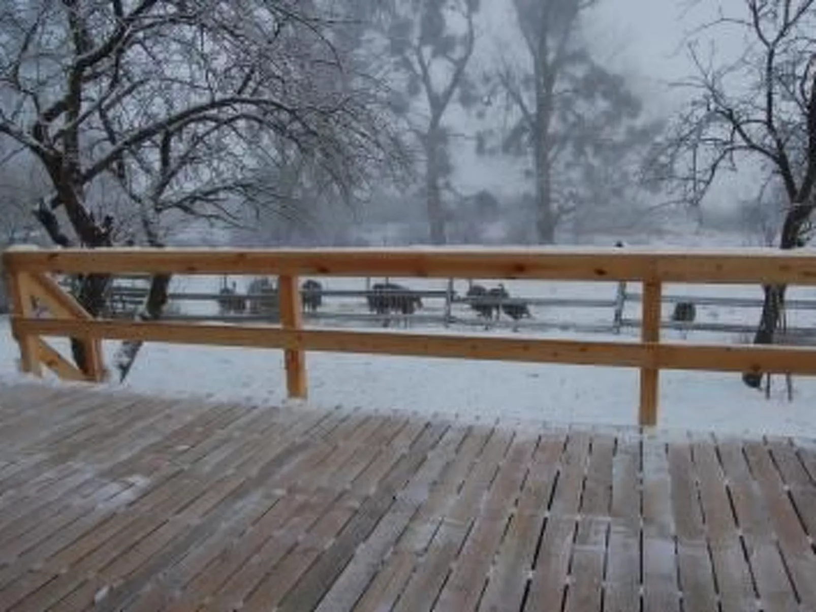 Alleenwiesen-Drinnen